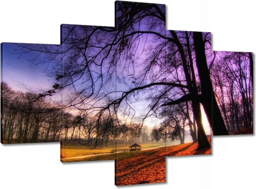 Vászonkép 100x70 Bajusz park