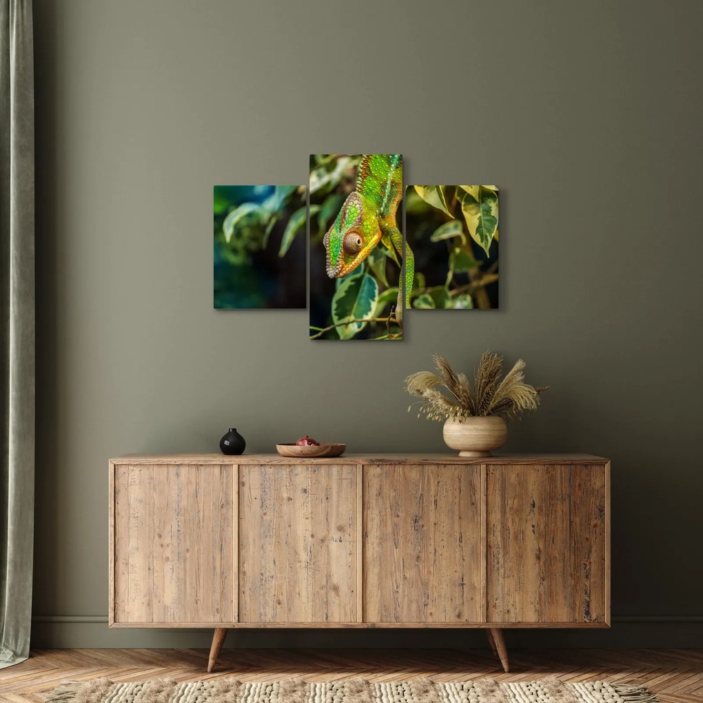 Kaméleon képe (90x60 cm)