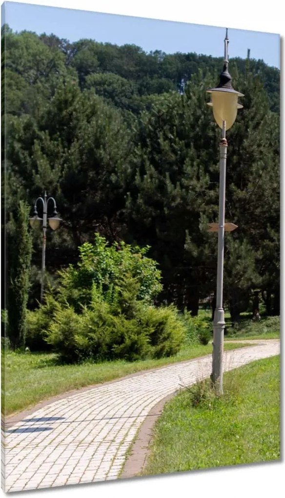 Vászonkép 80x120 Zöld park fákkal