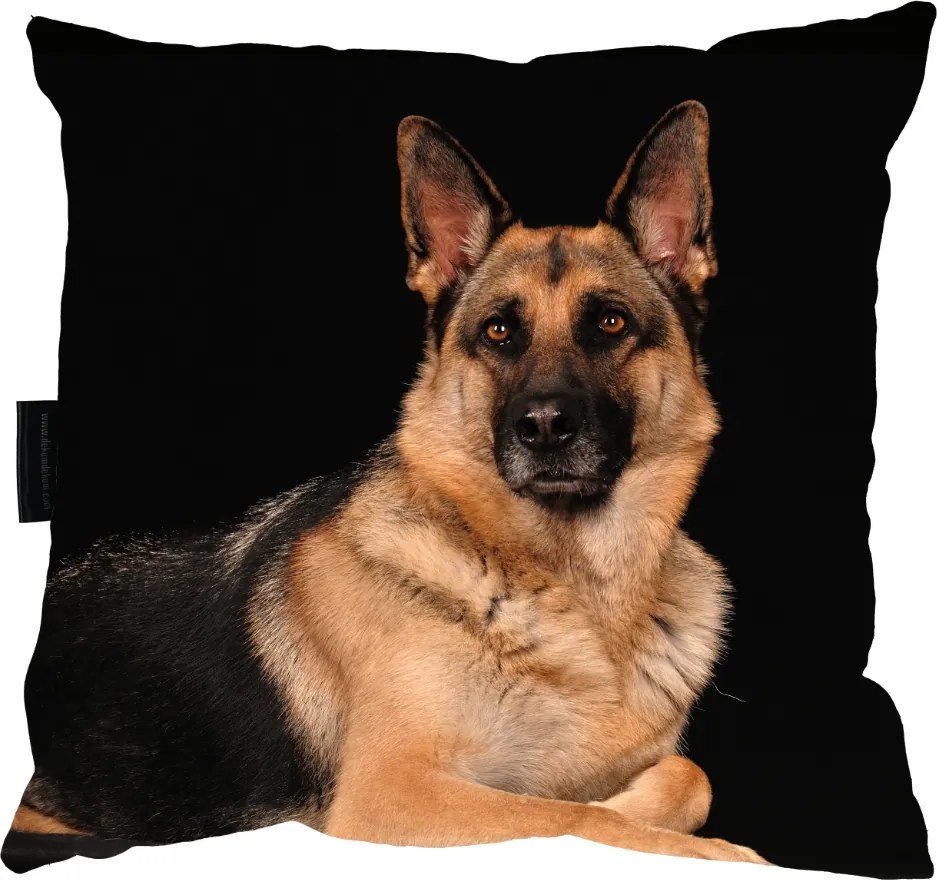 Kutyás Párna Német Juhászkutya 40x40 Ajándék
