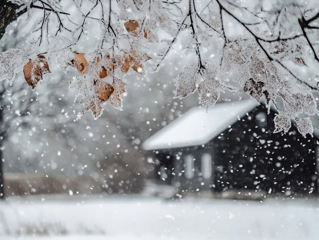 Vászonkép Canvas Tájkép Ház Fa Tél Hó Dér Jég Fagy 100x75