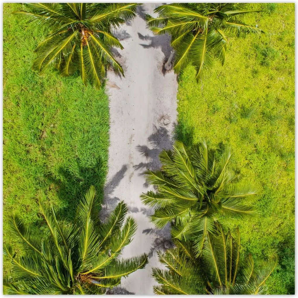 Poszterek 100x100 Tájkép Látvány