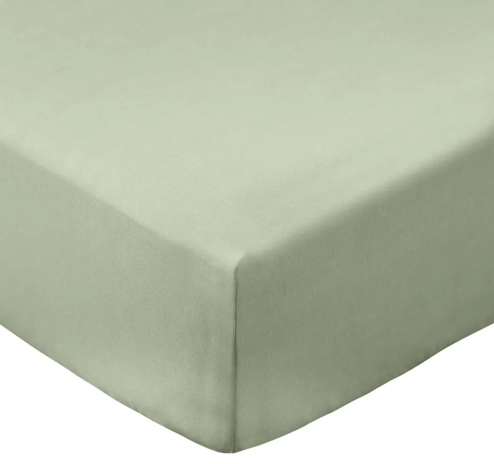 Zöld gumis pamut-perkál lepedő 135x190 cm Cotton Percale – Bianca