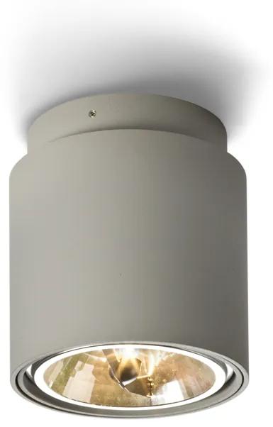RENDL R10162 EX felületre szerelhető lámpatest, downlight ezüstszürke
