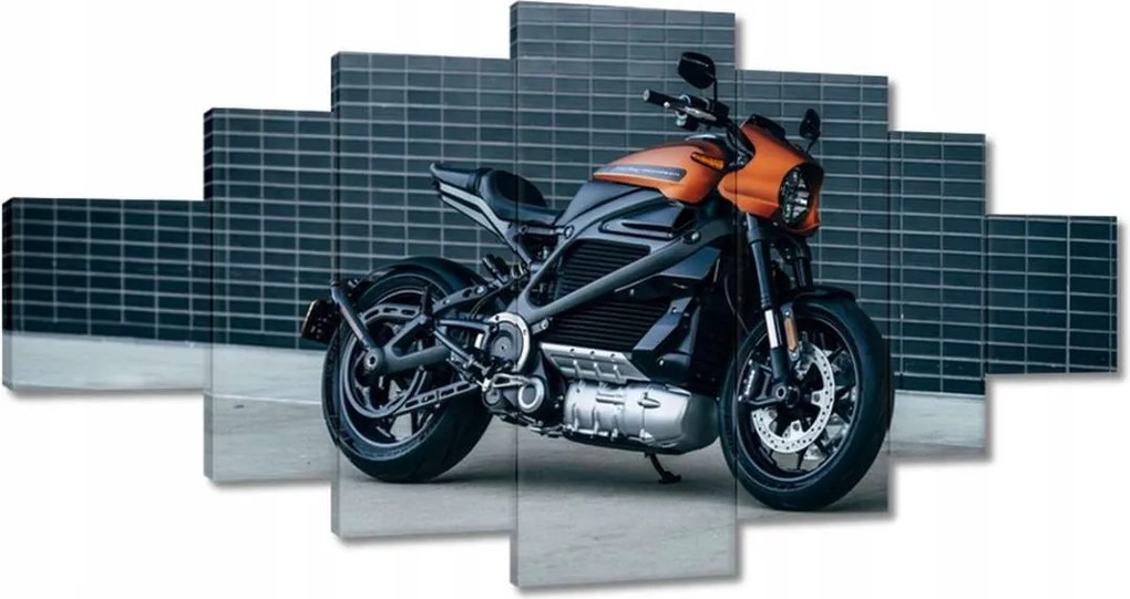 Képek 200x100 Harley Davidson Motorkerékpár