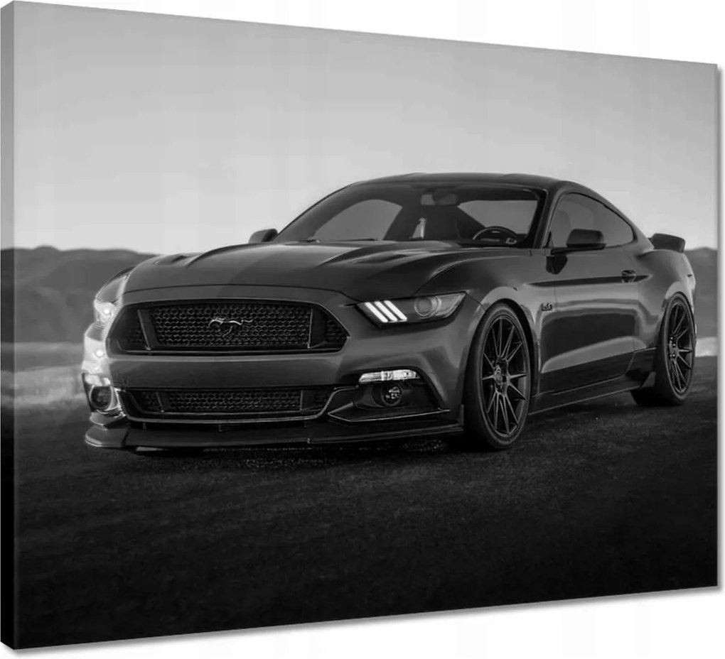 Vászonkép 50x40 Ford Mustang Autó