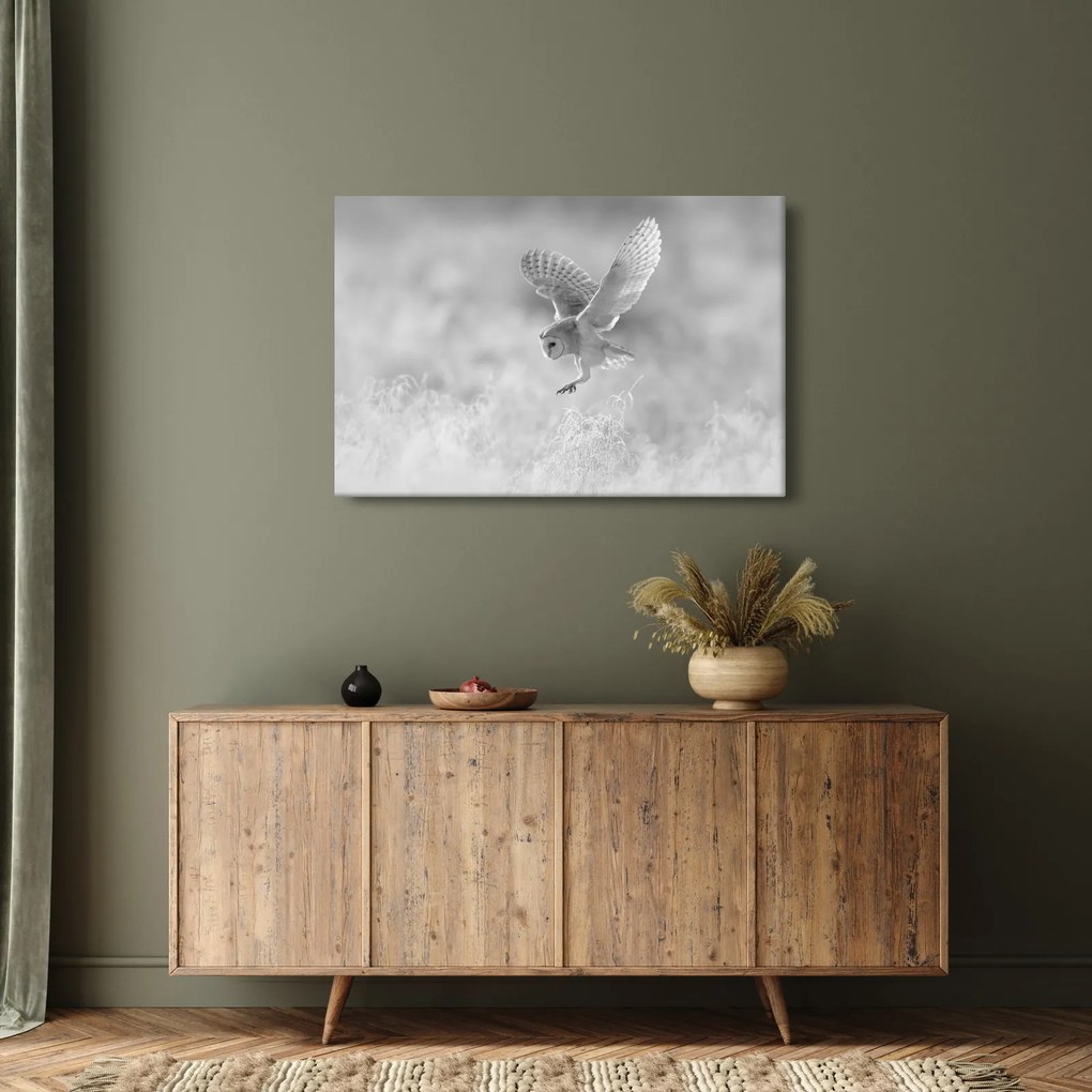 Kép - Bagoly a mezőn (90x60 cm)