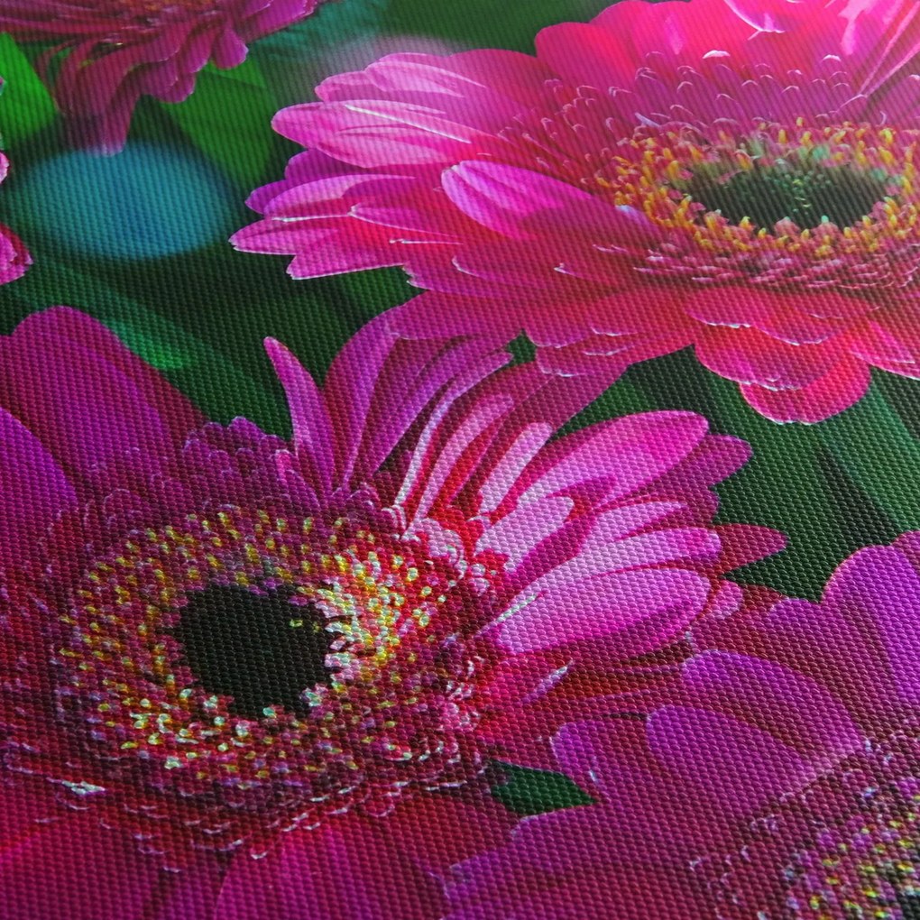 Kép - virágok (90x60 cm)