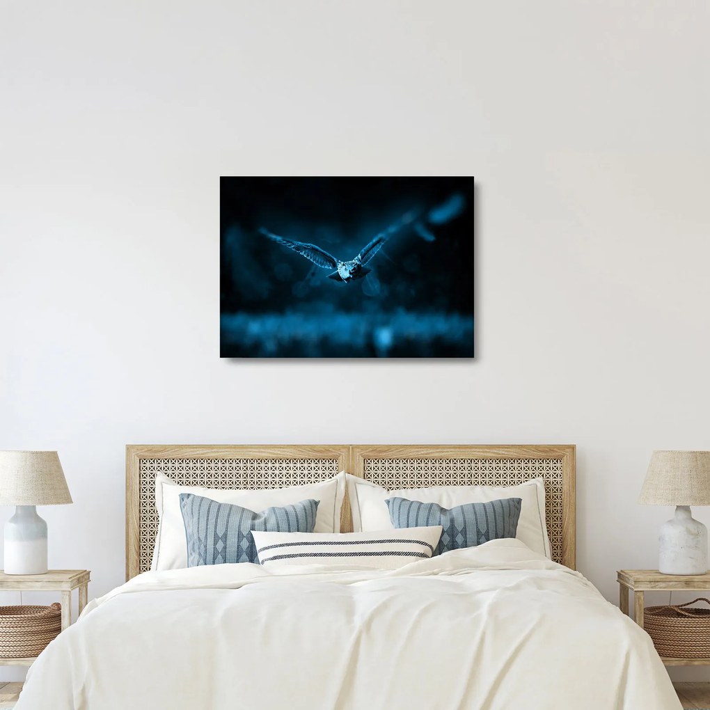 Egy repülő bagoly képe (üvegen) (70x50 cm)