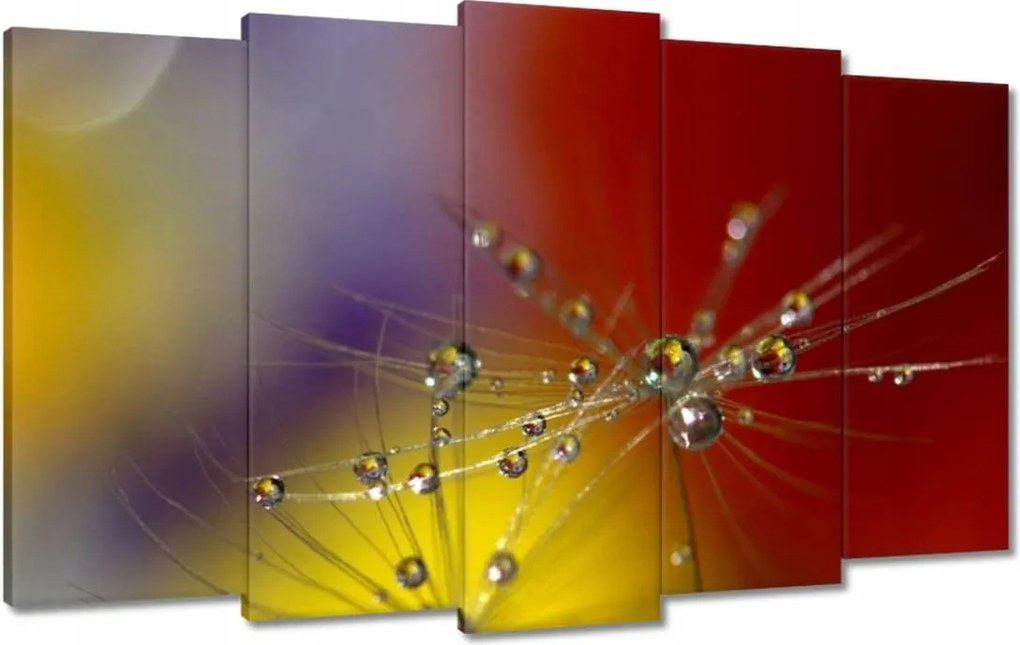 Vászonkép 100x60 Pitypang Virág Virágok