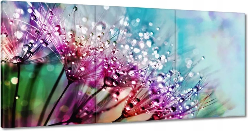 Vászonkép 120x60 Harmatcseppek Pitypang