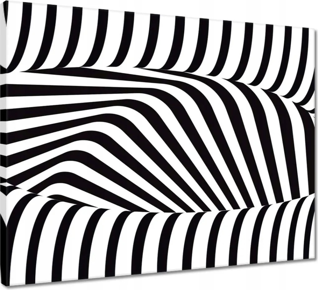 Vászonkép 50x40 Absztrakt fekete-fehér