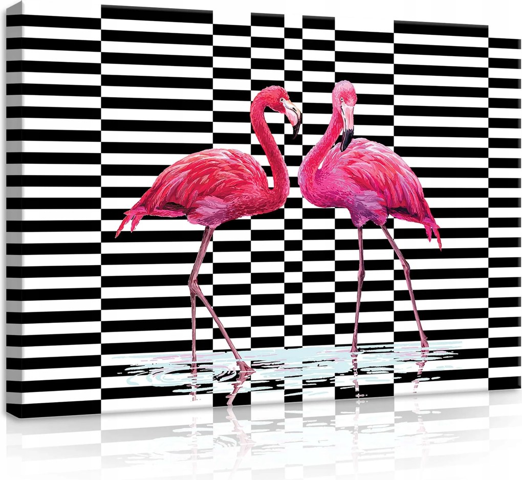 Vászonkép 70x50 Flamingó Rózsaszín Fekete-fehér Trópusok Madarak Víz