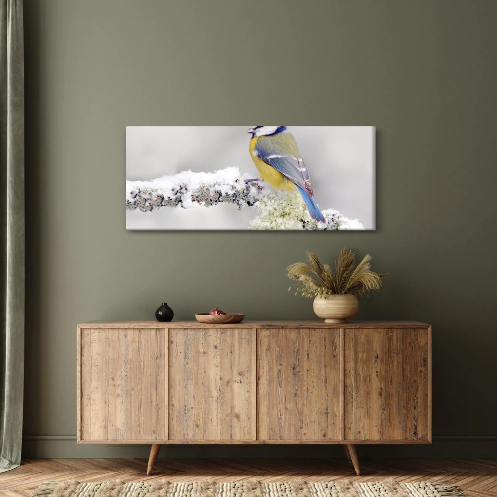 Kép - Cinege (120x50 cm)