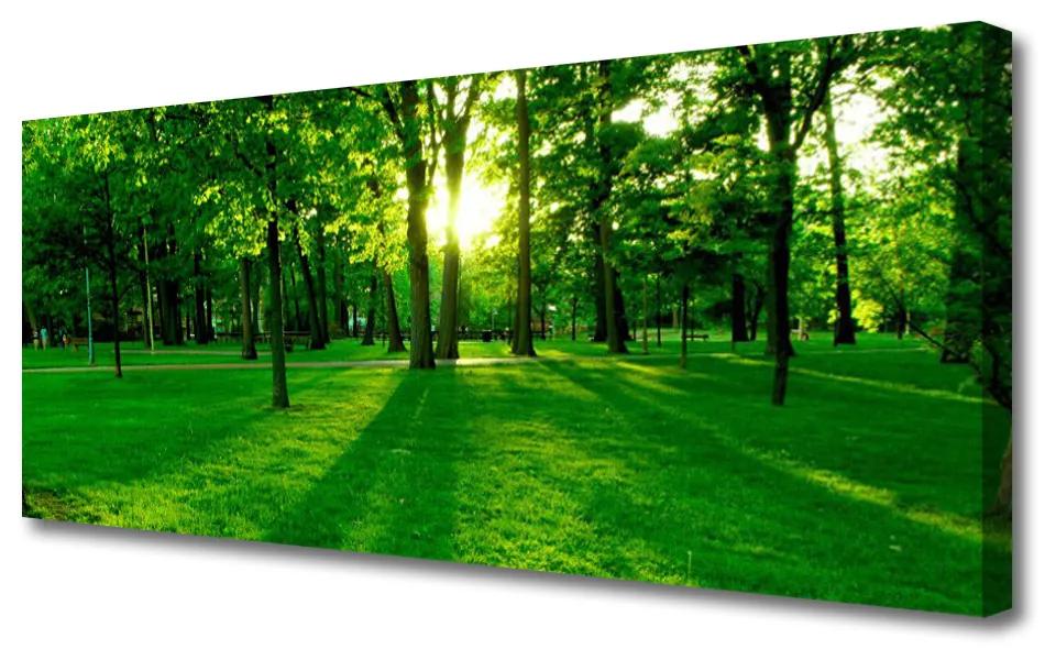 Vászonkép Forest Park Természet 125x50 cm