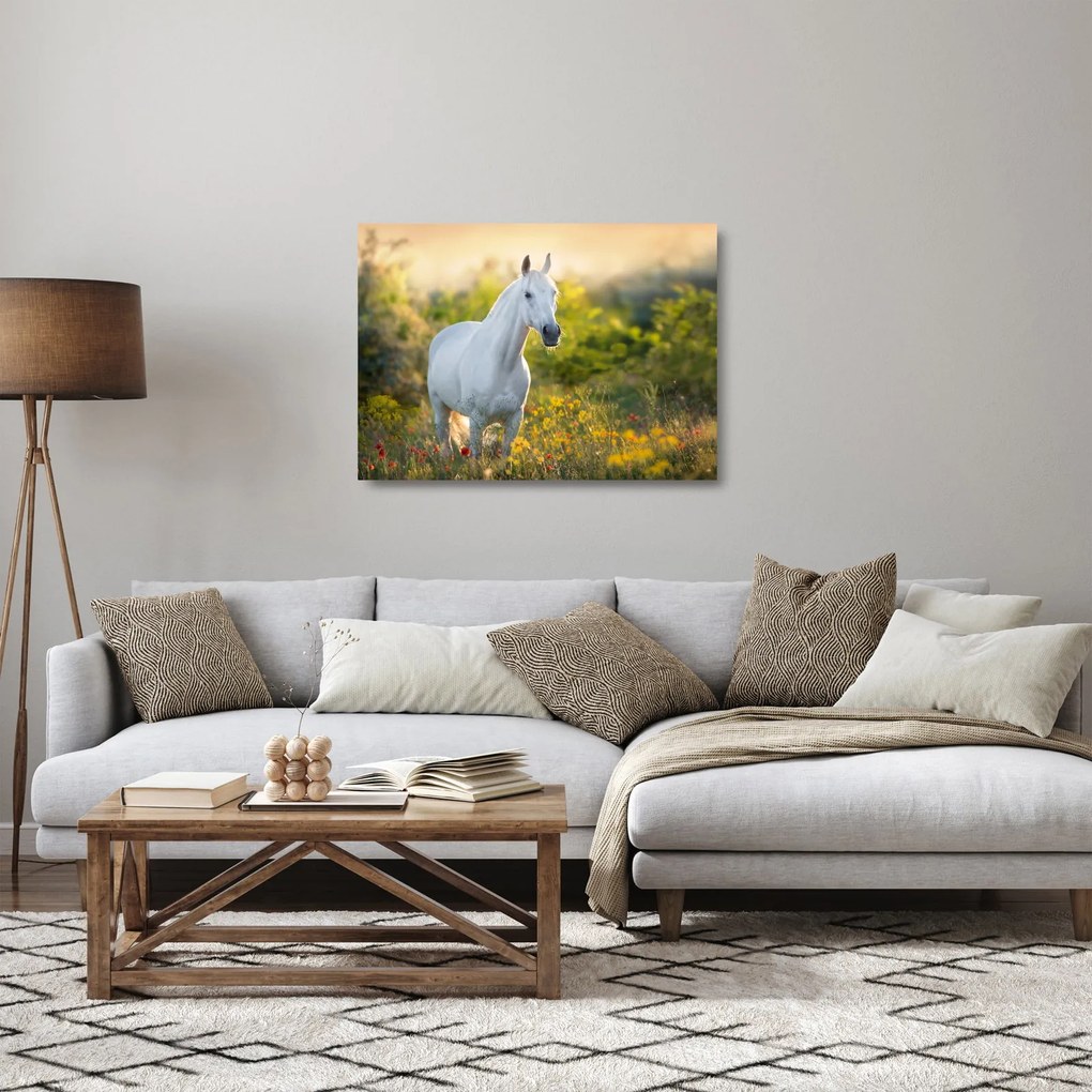 Egy fehér ló képe a réten (üvegen) (70x50 cm)