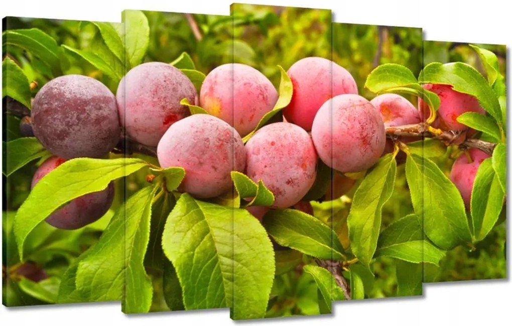 Vászonkép 100x60 Finom szilva