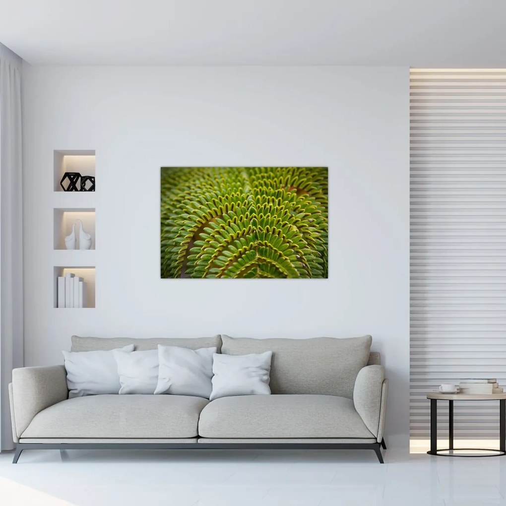 Kép - Fern (90x60 cm)