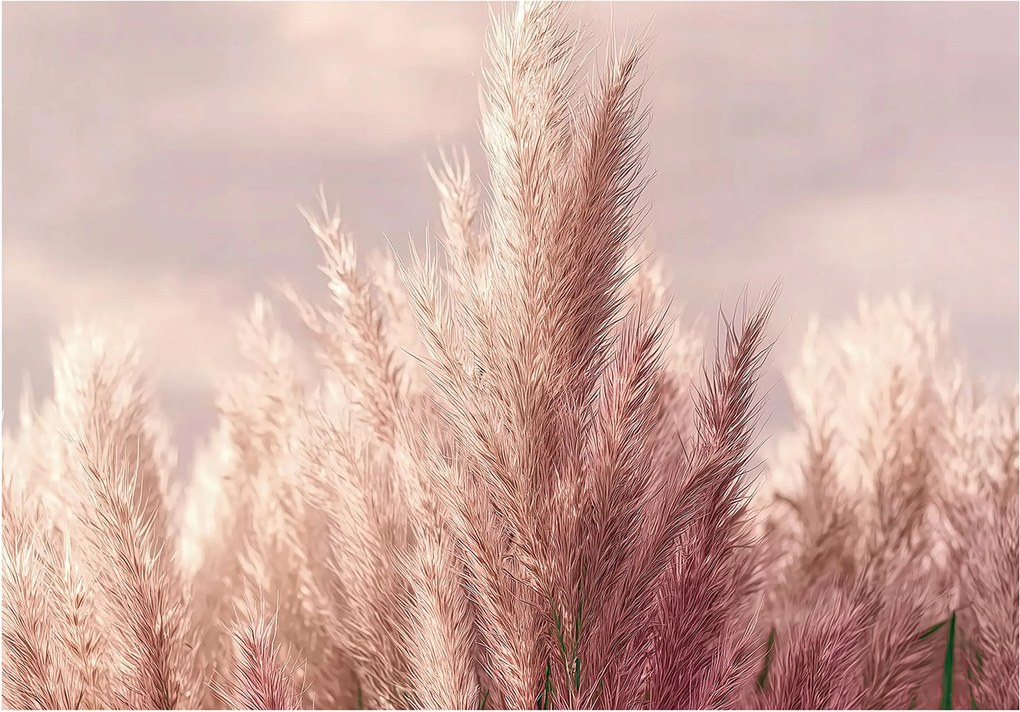 Fotótapéta Fű Boho Rózsaszín Természet 3D Falra Hálószoba Nappali 350x250