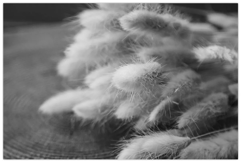 Kép - nyúlfarknyi fű az asztalon (90x60 cm)