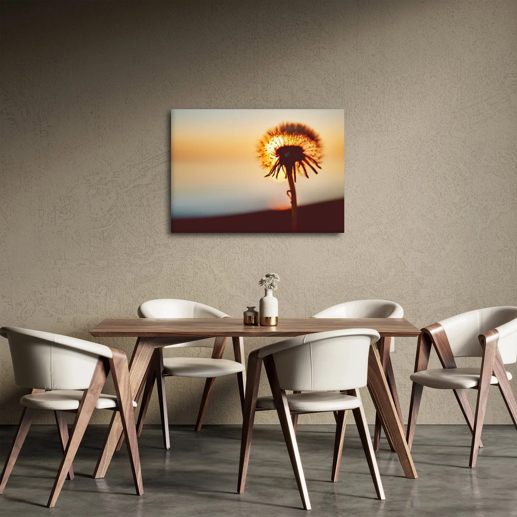 Egy pitypang képe naplementekor (70x50 cm)