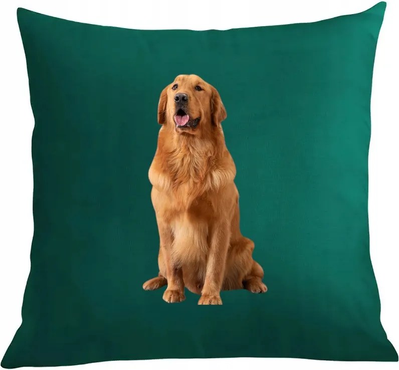 Párna párnahuzat Golden Retriever nyomtatás