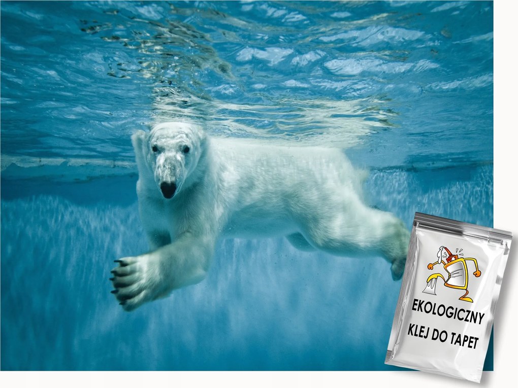 Fotótapéta Flizelina Állatok Jegesmedve Természet Víz 100x75 ragasztó