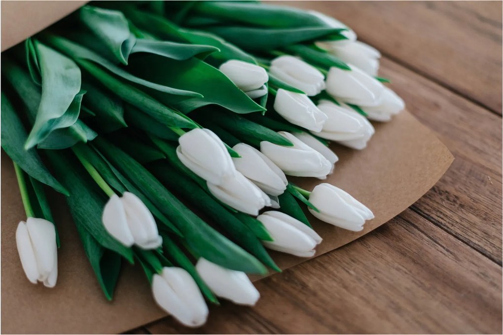 Egy csokor fehér tulipán képe (90x60 cm)