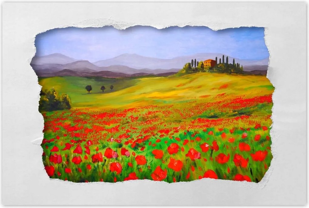 Poszterek 90x60 Provence pipacsokkal