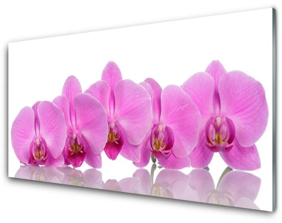 Modern üvegkép Rózsaszín orchidea virágok 140x70 cm