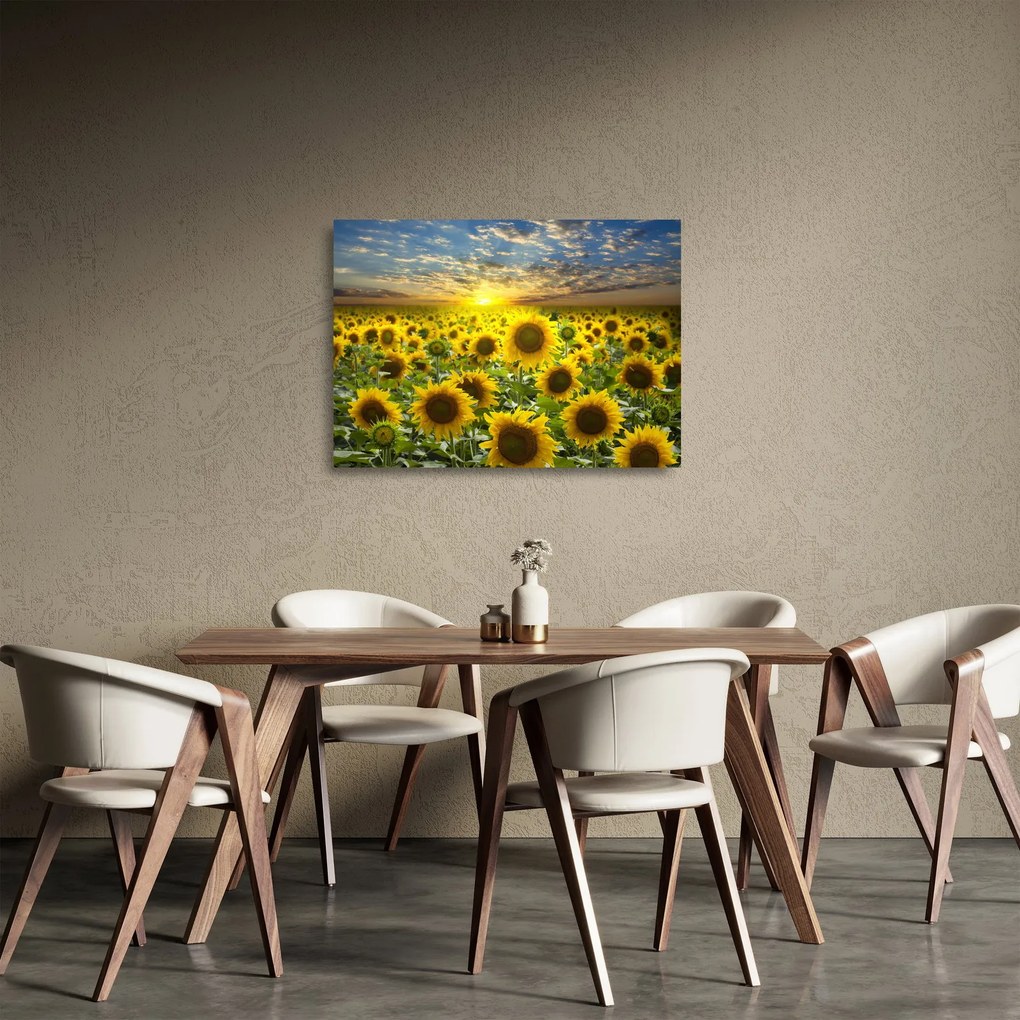 Üveg kép - Napraforgók naplementében (70x50 cm)