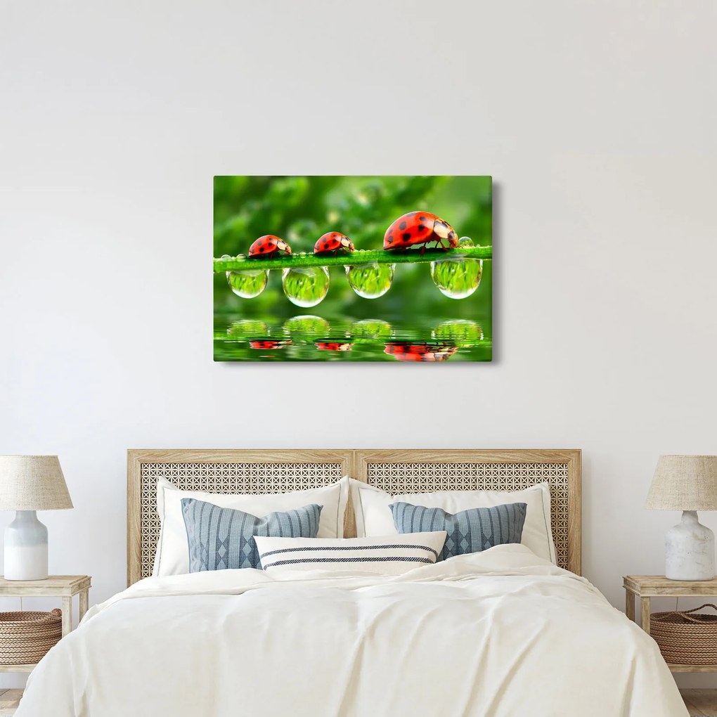 Kép - A hét nap napfénye (90x60 cm)