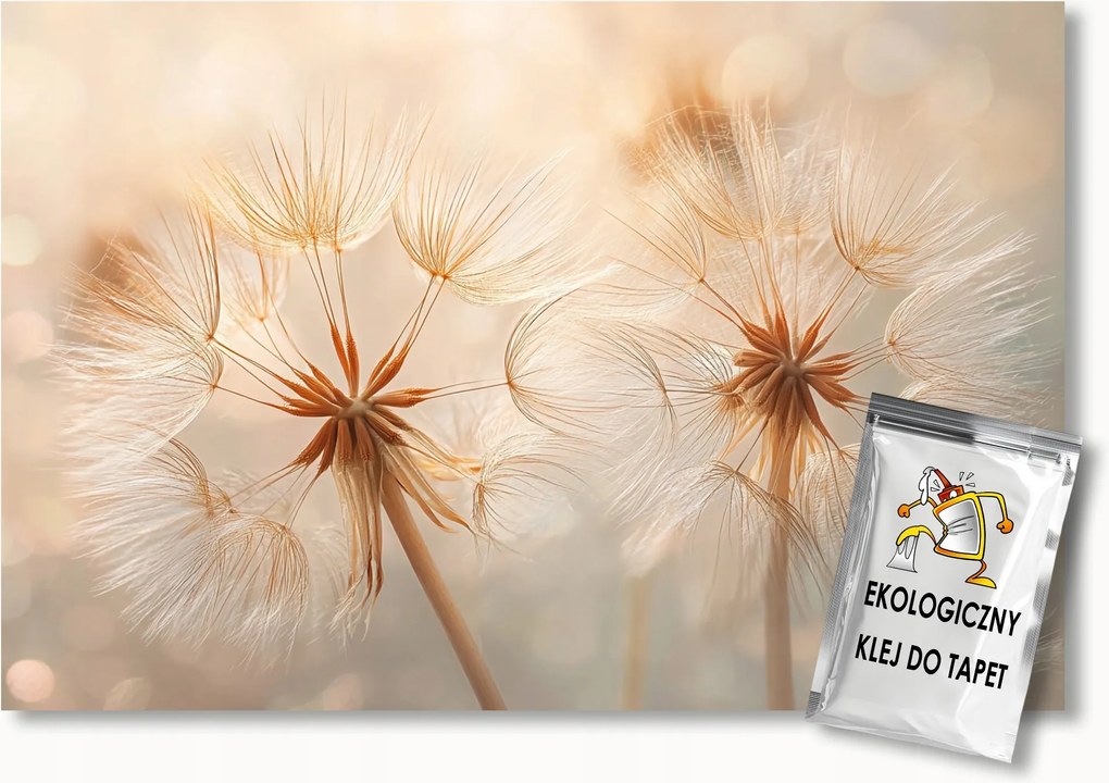 Fotótapéta Flizelina Növényzet Virágok Pitypang Makro Boho 150x105 ragasztó