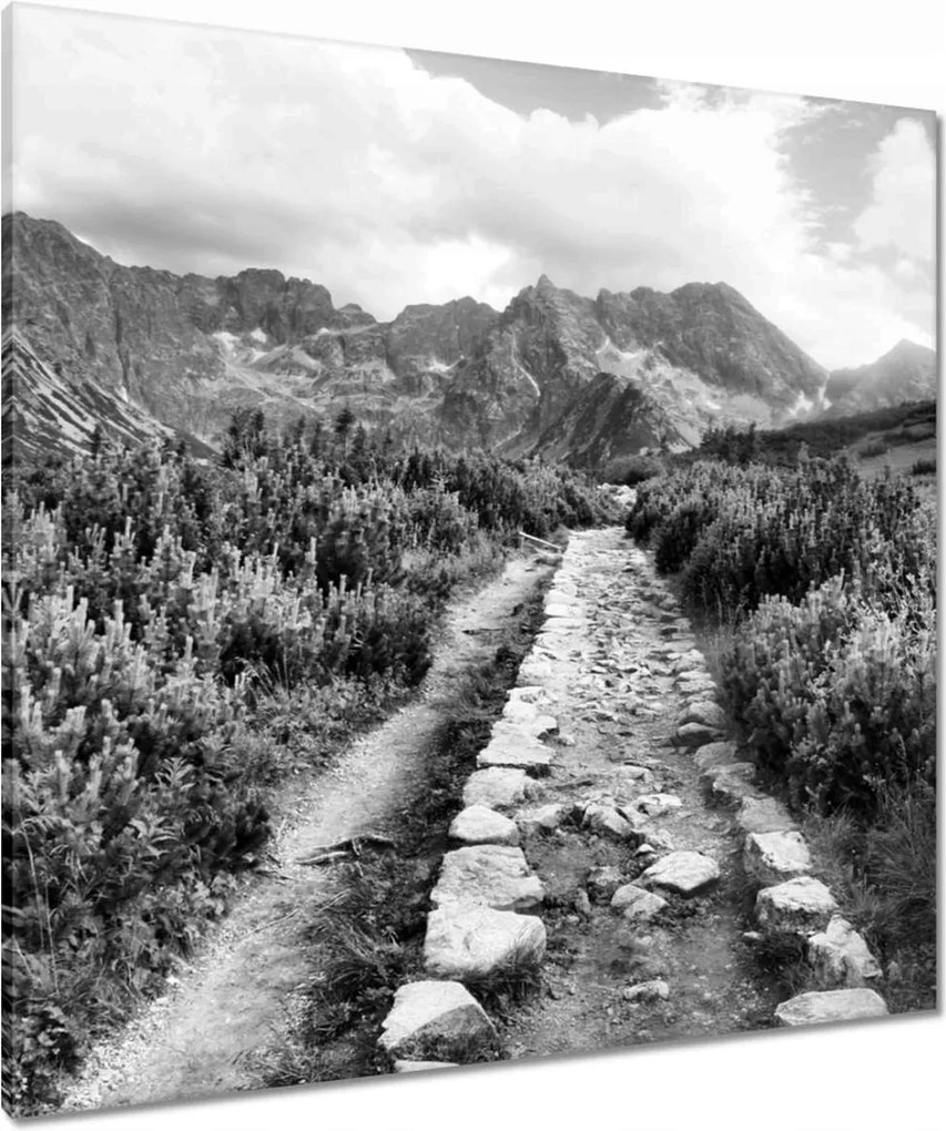 Vászonkép 80x80 Tátra Lengyel hegyek Kilátás