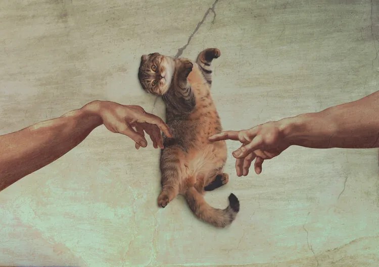 Illusztráció Touch of the Kitty, Artem Pozdniakov