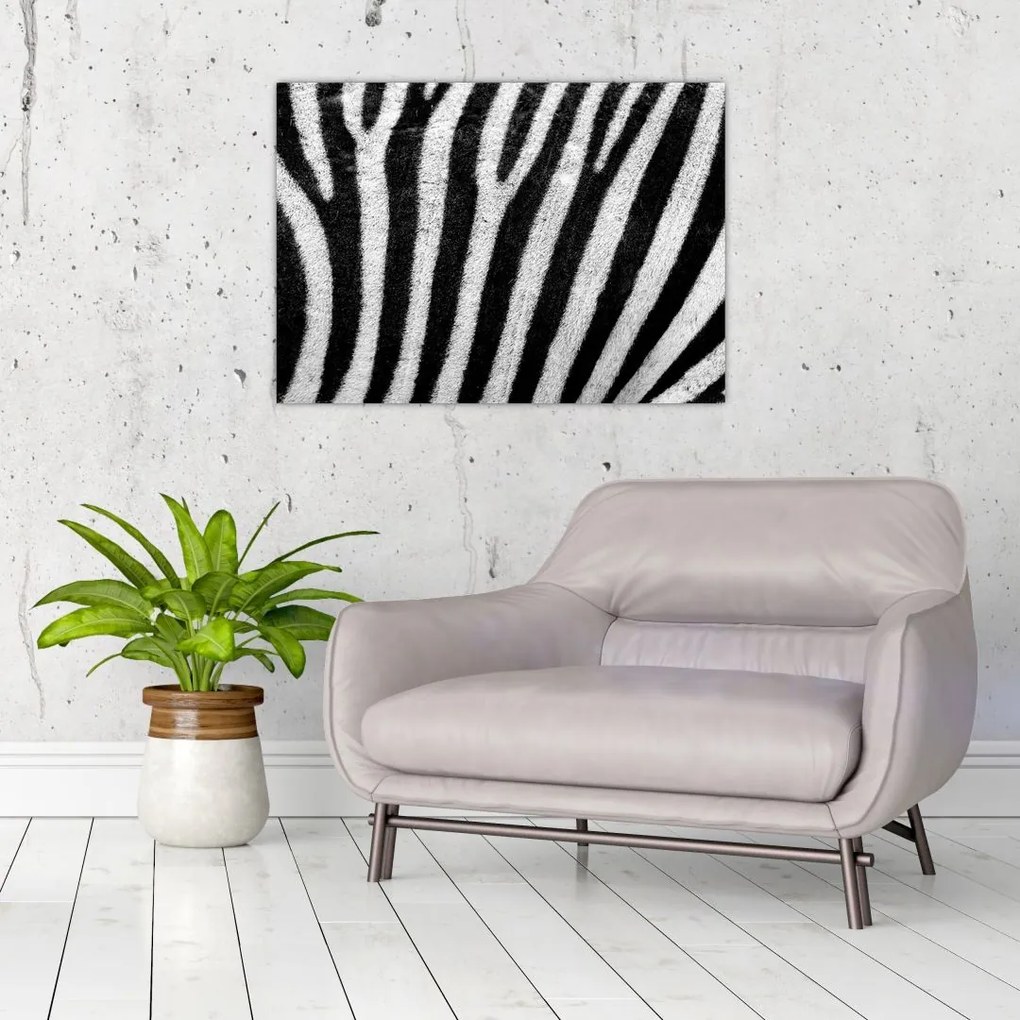 Kép egy zebra bőrről (üvegen) (70x50 cm)