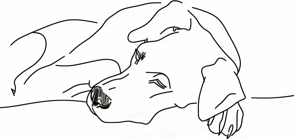 Poszter 56,6x86,4cm Kutya pihenés