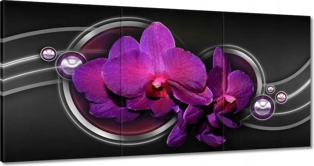 Vászonkép 120x60 Lila orchidea