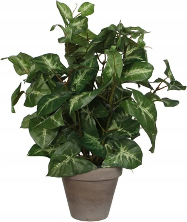 Művirág dekoratív kaspóban Syngonium 35cm 1db