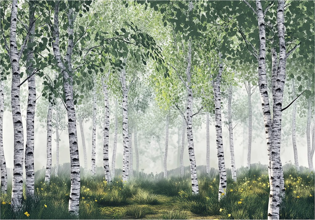 3D Fotótapéta Nyírfa Erdő Természet Fali Hálószoba Nappali 200x140