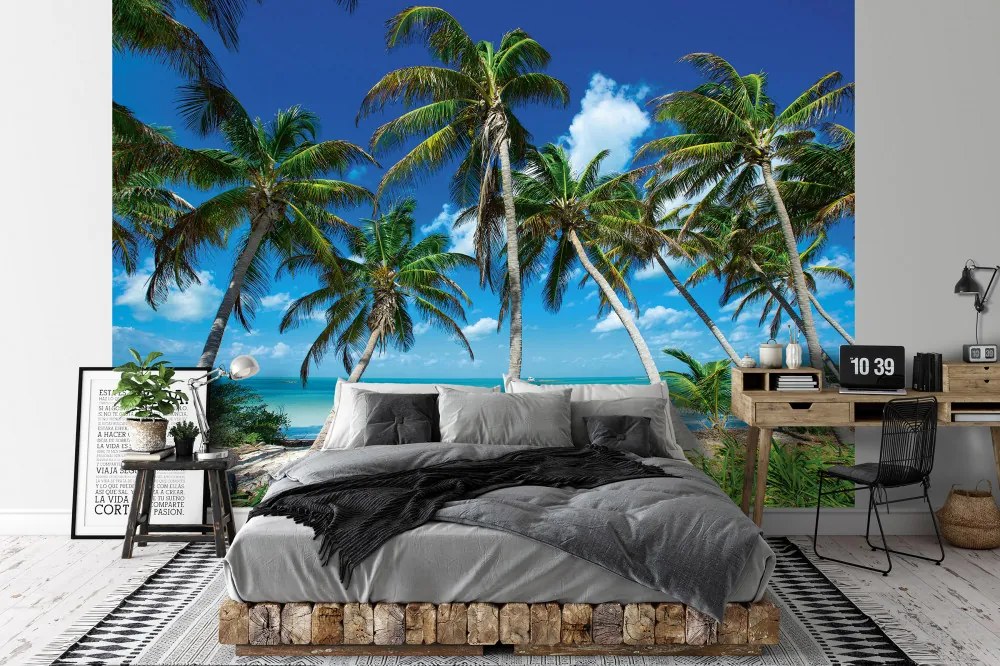 Fás tengerpart poszter, fotótapéta Vlies (254 x 184 cm)