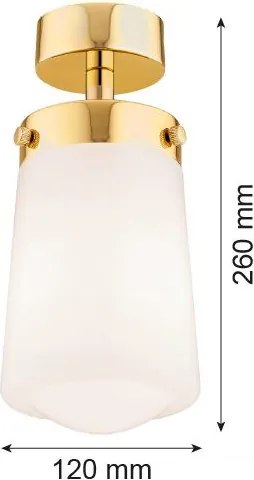 Argon PASADENA 8005 Süllyesztett mennyezeti lámpa 1x15W/E27 IP44