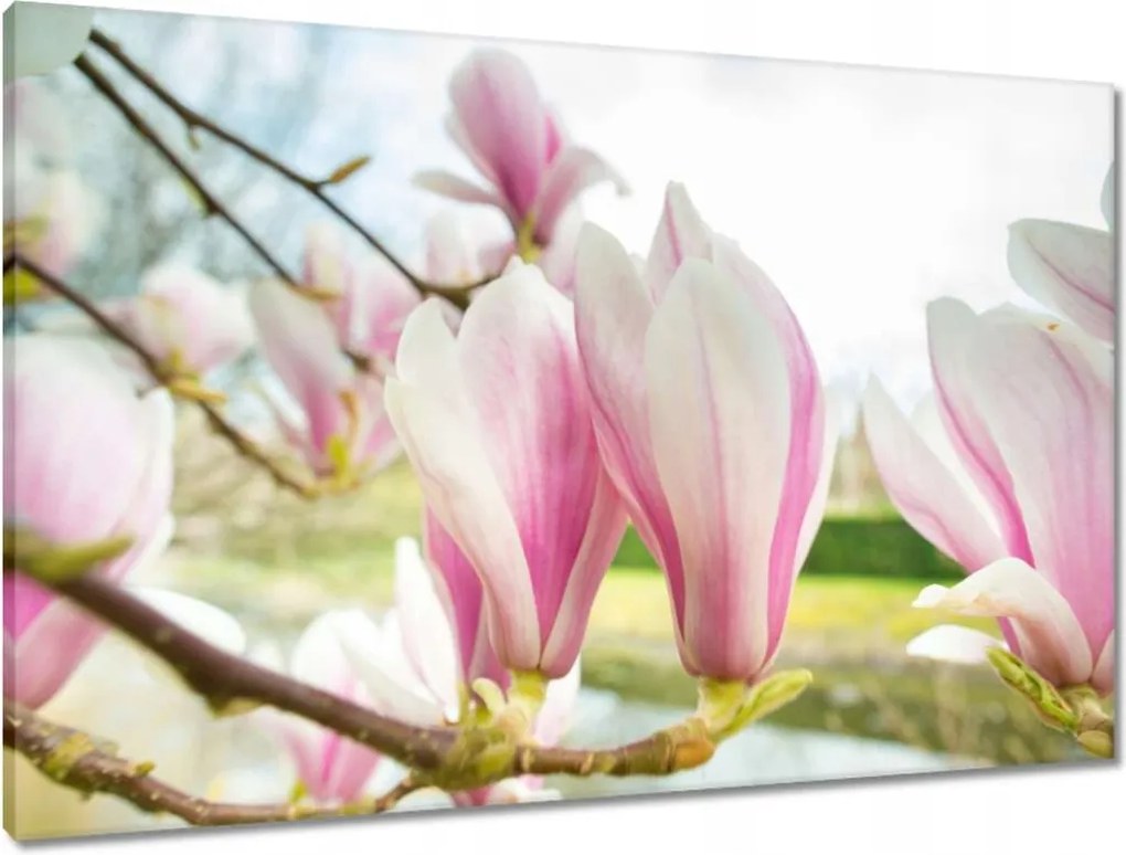 Vászonkép 90x60 Virágok