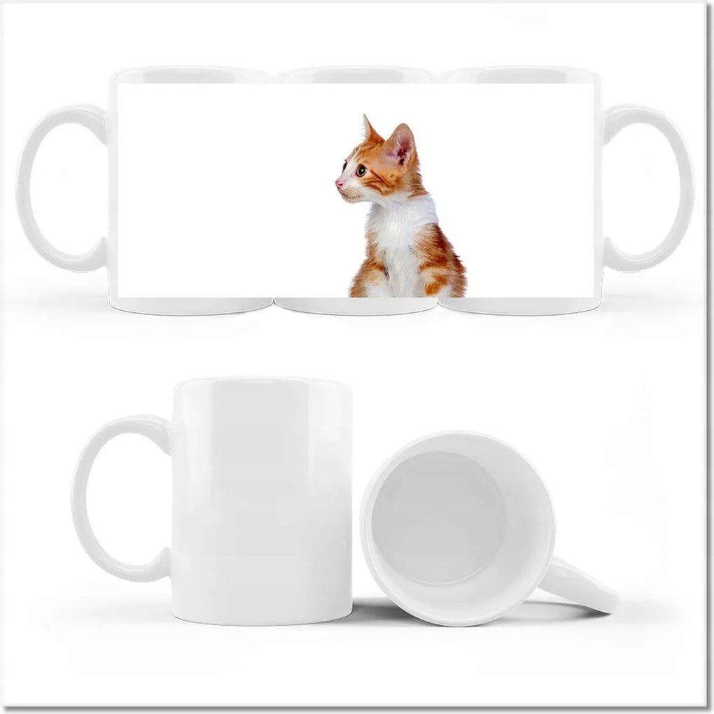 Cica fényképes bögre Cicák Macskák