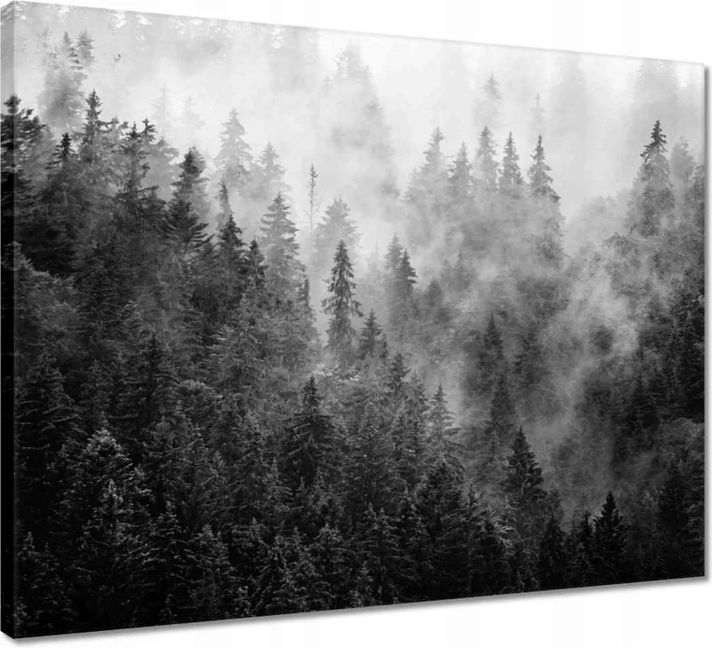 Vászonkép 50x40 Tájkép Szürke Hegyek Köd