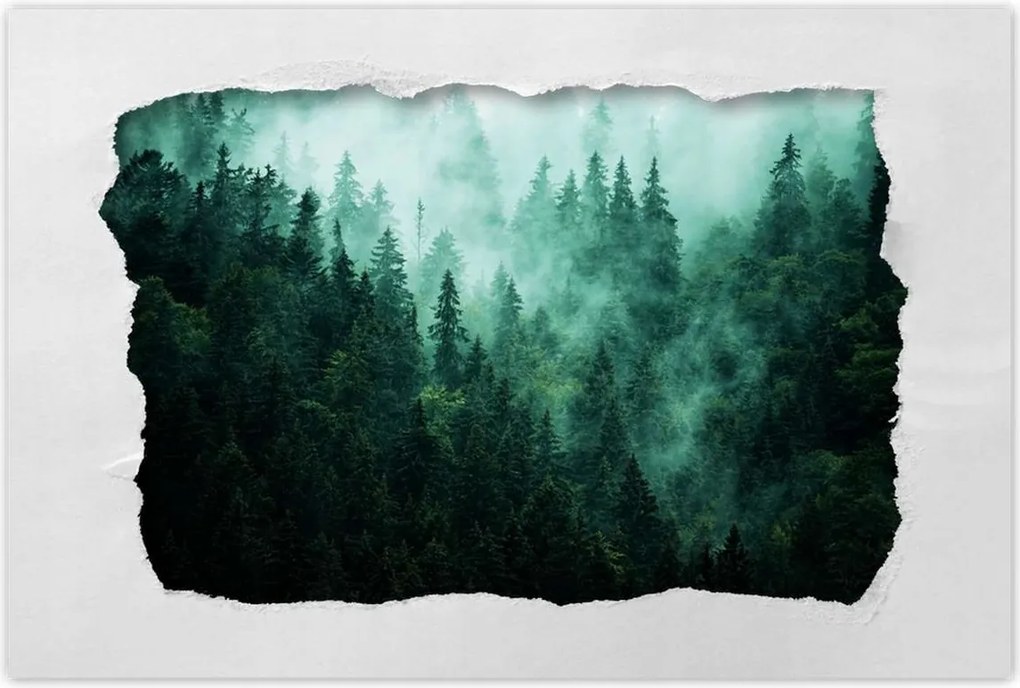 Poszterek 120x80 Erdő Köd Tájkép Utazás