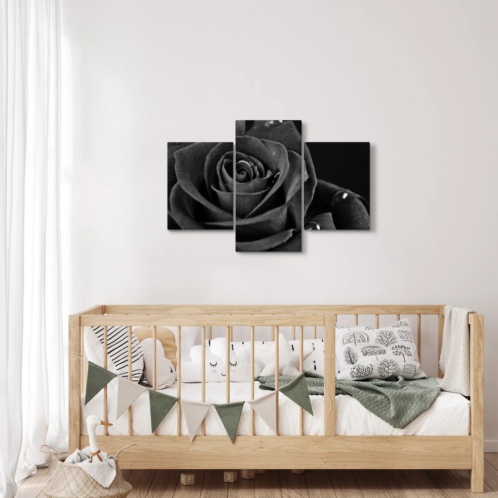 Kép - Bíborvörös rózsa (90x60 cm)