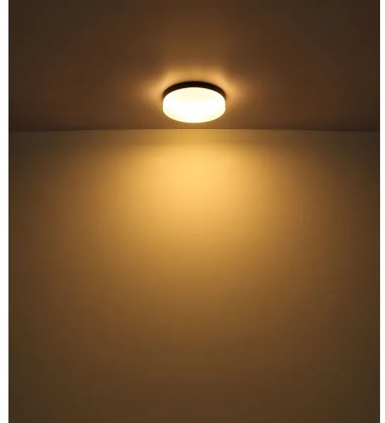 Globo 32113B - Fürdőszobai lámpa VRANOS 3xE27/60W/230V átm. 30 cm IP44