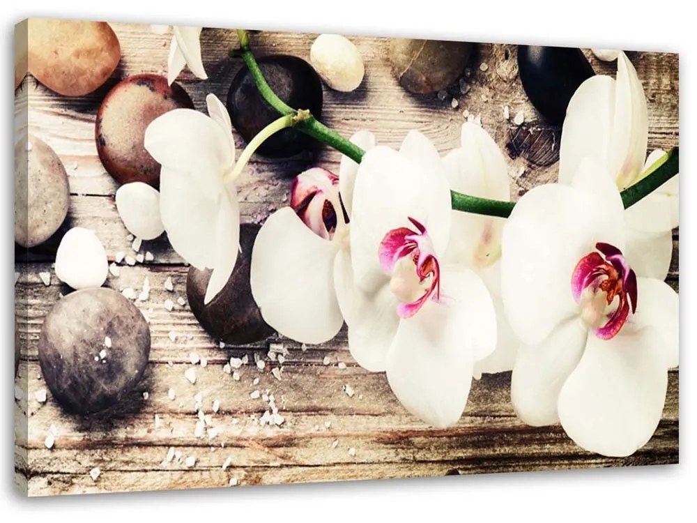 Gario Vászonkép Fehér zen orchidea Méret: 100 x 70 cm