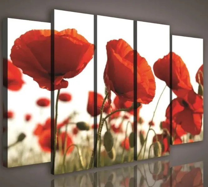 Vászonkép 150x100 Pipacsok piros virágmező nyár természet fali dekoráció